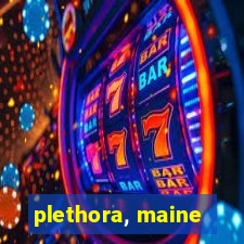 plethora, maine